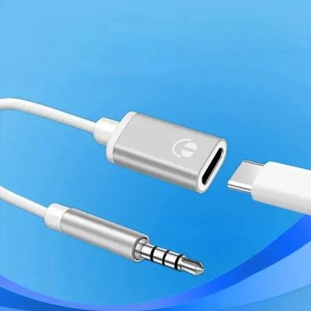 Aux to USB C female
