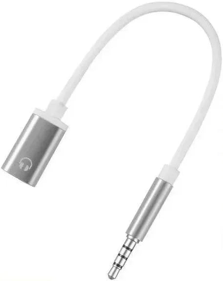 Aux to USB C female